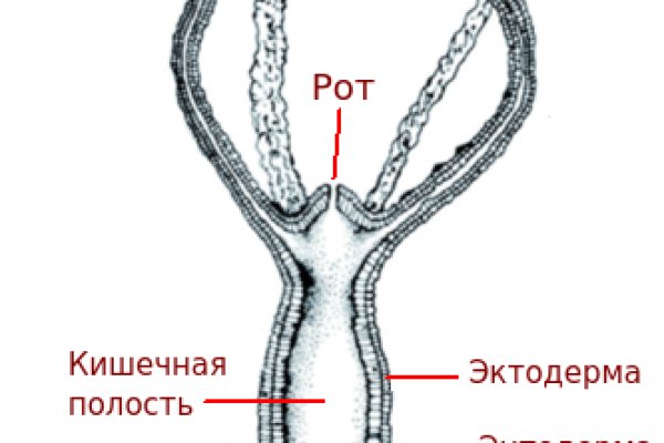 Кракен купить мефедрон